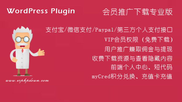 WordPressVIP收费下载插件Erphpdownv13.33最新开心版网站源码-九源吧