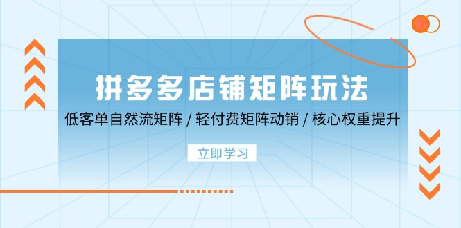 拼多多店铺矩阵玩法：低客单自然流矩阵 / 轻付费矩阵 动销 / 核心权重提升-九源吧
