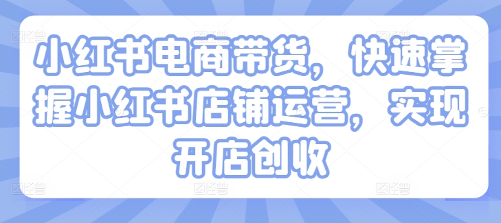 小红书电商带货，快速掌握小红书店铺运营，实现开店创收-九源吧