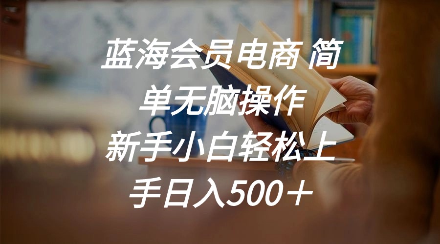 蓝海会员电商 简单无脑操作 新手小白轻松上手日入500-九源吧