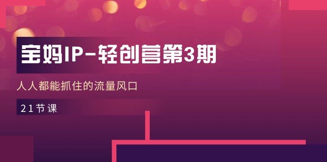 宝妈IP-轻创营第3期，人人都能抓住的流量风口（21节课）-九源吧
