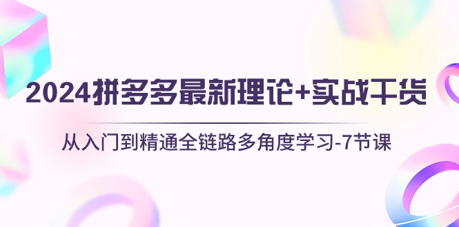 2024拼多多 最新理论+实战干货，从入门到精通全链路多角度学习-7节课-九源吧