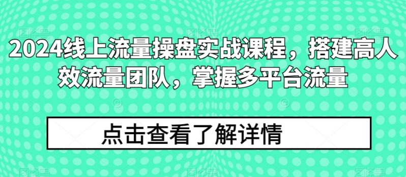 2024流量王者修炼手册：打造高效流量团队，解锁多平台流量秘籍-九源吧