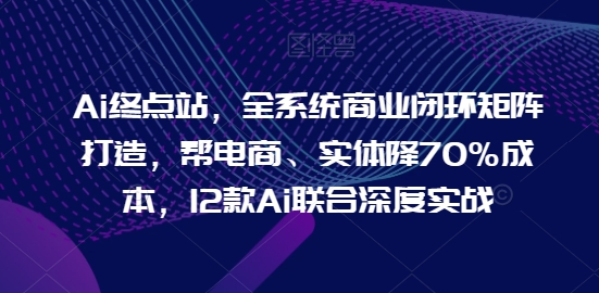AI终点站，全系统商业闭环矩阵打造，帮电商、实体降70%成本，12款AI联合深度实战-九源吧