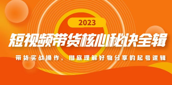 短视频带货秘籍大公开：实战攻略+选品秘诀，助你成为带货达人-九源吧