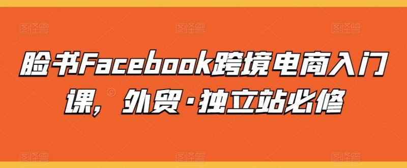 脸书FACEBOOK跨境电商入门课，外贸·独立站必修-九源吧