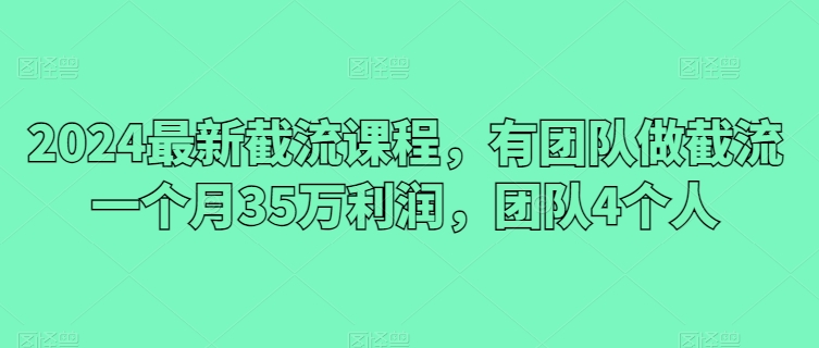 2024最新截流课程，有团队做截流一个月35万利润，团队4个人-九源吧