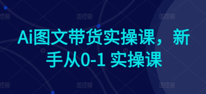 AI赋能电商：新手快速上手图文带货实操课程-九源吧