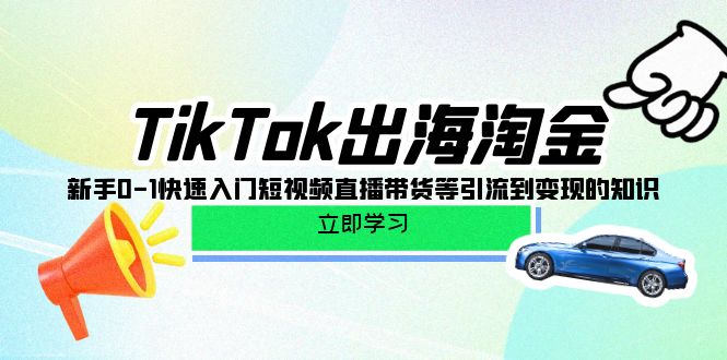 TikTok-出海淘金，新手0-1快速入门短视频直播带货等引流到变现的知识-九源吧