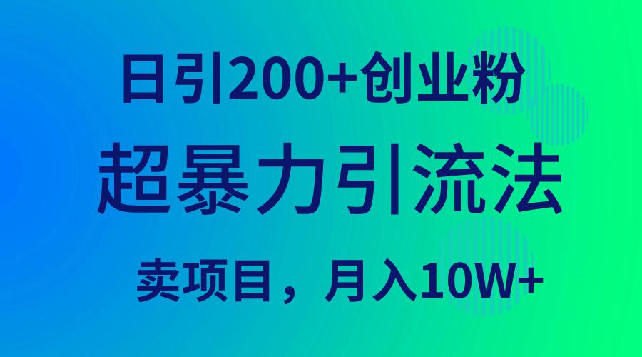 超暴力引流法，单日引200+创业粉，卖项目月入10万+-九源吧