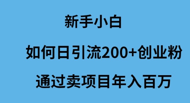 新手小白怎么样日引流200+创业粉通过卖项目年入百万-九源吧
