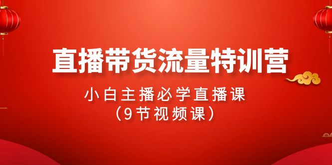 24年直播带货流量特训课，新手小白主播必学直播课（9节视频课）-九源吧
