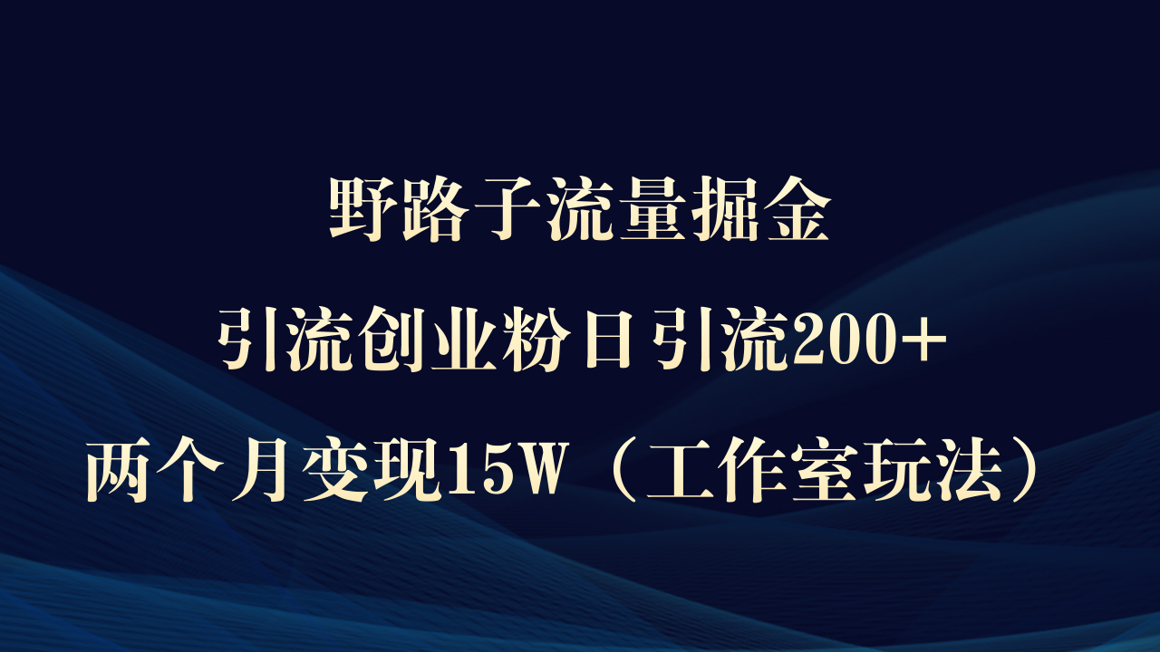 野路子流量掘金，引流创业粉日引流200+，两个月变现15W（工作室玩法））-九源吧