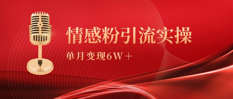 单月变现6w+，情感粉引流变现实操课-九源吧