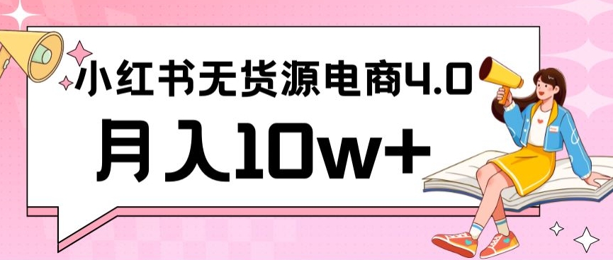 小红书新电商实战，无货源实操从0到1月入10W+联合抖音放大收益【揭秘】-九源吧