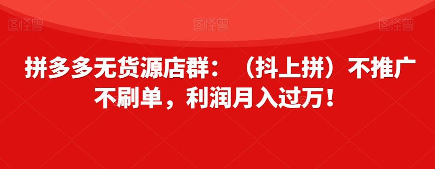 拼多多无货源店群：轻松月入过万，零推广零刷单！-九源吧