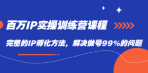 百万IP实战训练营课程，完整的IP孵化方法，解决做号99%的问题-九源吧