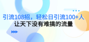 引流108招，轻松日引流100+人，让天下没有难搞的流量【更新】-九源吧