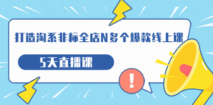 打造-淘系-非标全店N多个爆款线上课，5天直播课（19期）-九源吧