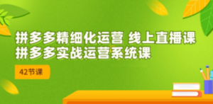 2023年8月新课-拼多多精细化运营 线上直播课：拼多多实战运营系统课-42节-九源吧