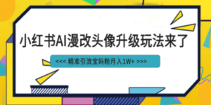 小红书最新AI漫改头像项目，精准引流宝妈粉，月入1w+-九源吧