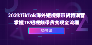 2023-TikTok海外短视频带货特训营，掌握TK短视频带货变现全流程（60节课）-九源吧