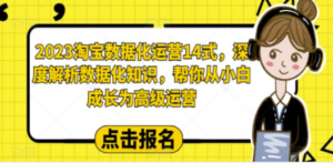 2023淘宝数据化-运营 14式，深度解析数据化知识，帮你从小白成长为高级运营-九源吧
