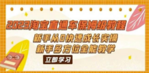 2023淘宝直通车保姆级教程：新手从0快速成长实操，新手多方位全能教学-九源吧