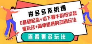 拼多多系统课：0基础起店+当下最牛的低价起量玩法+简单粗暴的动销玩法-九源吧