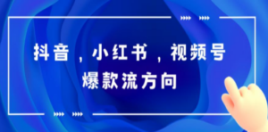 抖音，小红书，视频号爆款流视频制作，简单制作掌握流量密码-九源吧