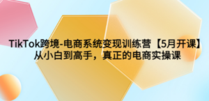 TikTok跨境-电商系统变现训练营【5月新课】从小白到高手，真正的电商实操课-九源吧