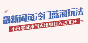 2023最新闲鱼冷门蓝海玩法，小白零成本当天出单日入200+-九源吧