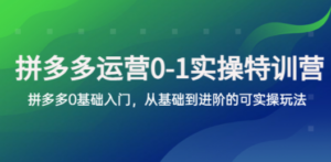 拼多多-运营0-1实操训练营，拼多多0基础入门，从基础到进阶的可实操玩法-九源吧