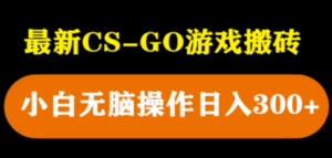 最新csgo游戏搬砖游戏，无需挂机小白无脑也能日入300+-九源吧
