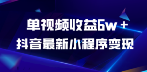 抖音最新小程序变现项目，单视频收益6w＋-九源吧