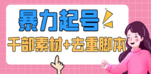 抖音暴力起号，短视频美女号起号项目+千部擦边资源+批量剪辑去重软件-九源吧