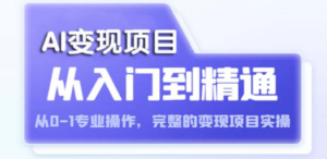 AI从入门到精通 从0-1专业操作，完整的变现项目实操（视频+文档）-九源吧