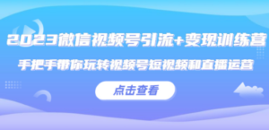 2023微信视频号引流+变现训练营：手把手带你玩转视频号短视频和直播运营!-九源吧