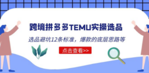 跨境拼多多TEMU实操选品运营方法，选品避坑12条标准，爆款的底层思路等-九源吧