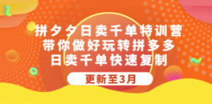 拼夕夕日卖千单特训营，带你做好玩转拼多多，日卖千单快速复制 (更新至3月)-九源吧