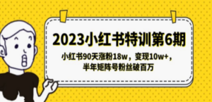 2023小红书特训第6期，小红书90天涨粉18w，变现10w+，半年矩阵号粉丝破百万-九源吧