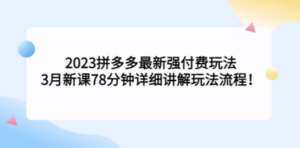 2023拼多多最新强付费玩法，3月新课​78分钟详细讲解玩法流程-九源吧