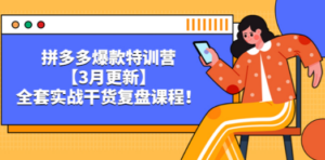 拼多多爆款特训营【3月更新】，全套实战干货​复盘课程-九源吧