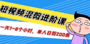 短视频混剪/进阶课，一天7-8个小时，单人日剪200条实战攻略教学-九源吧