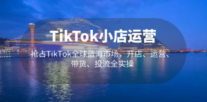 TikTok小店运营 抢占TikTok全球蓝海市场，开店、运营、带货、投流全实操-九源吧