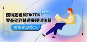 跨境·短视频TIKTOK零基础到精通变现训练营 短视频·独立站·带货变现技巧-九源吧