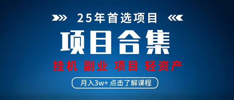 2025 实操项目合集 挂机类型 直播类型 轻资产创业类型 课程分享各项目…-九源吧