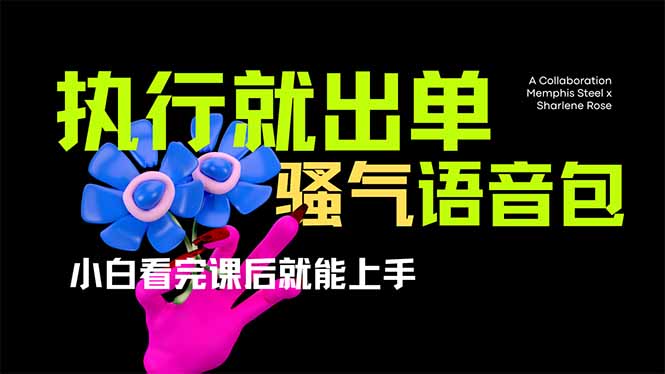 爆火全网的开车导航骚气语音包,只要执行就出单，小白看完课程就能实操…-九源吧