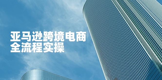 亚马逊跨境电商全流程实操，教你从零开始，掌握店铺运营与广告技巧-九源吧