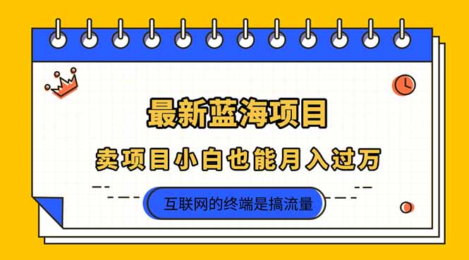 2025年最新蓝海项目，卖项目小白也能月入过万-九源吧